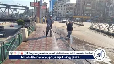 محافظ الدقهلية: رفع 680 طن مخلفات بلدية وأتربة وناتج تقليم أشجار بالمنطقة المركزية في 