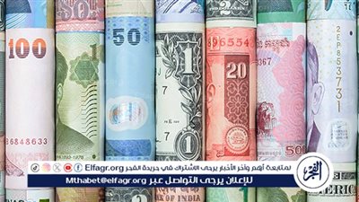 استقرار أسعار صرف العملات الأجنبية مقابل الجنيه المصري اليوم الجمعة 8 نوفمبر 2024