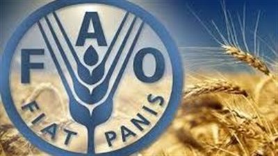 تراجع مؤشر أسعار الغذاء العالمية في ديسمبر بفضل انخفاض السكر