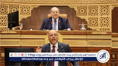 خفض معدلات البطالة.. 7 تصريحات هامة لوزير العمل بالجلسة العامة لمجلس الشيوخ