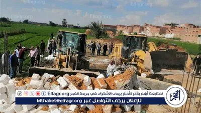 إزالة 107 حالات تعدٍ على الأراضى الزراعية وأملاك الدولة بالمنيا