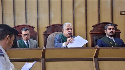 السجن عام لسائق قام بتوزير رخصة قيادة مركبة ببورسعيد 