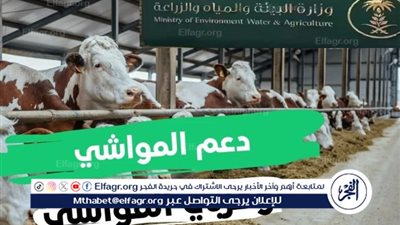 دليل دعم مربي الماشية في السعودية: الشروط، أسباب وقف الدعم وطريقة تقديم الاعتراض