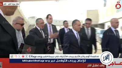 وصول وزير الخارجية المصري إلى لبنان (فيديو)