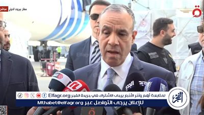 وزير الخارجية: مصر تتضامن مع الشعب اللبناني وتسعى لوقف العدوان فورا (فيديو)
