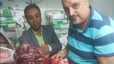 محافظ الدقهلية: ضبط أكثر من 3 طن لحوم مجمدة وأغذية متنوعة فاسدة 