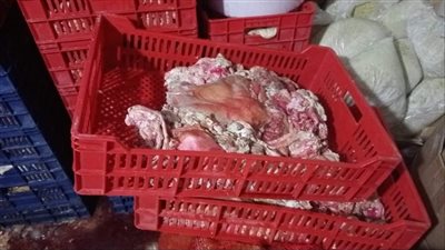 ضبط 750 كيلو لحوم مجمدة وأسماك مجهولة المصدر في حملات رقابية بالشرقية