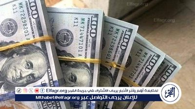 استقرار سعر الدولار أمام الجنيه المصري اليوم 15 نوفمبر 2024