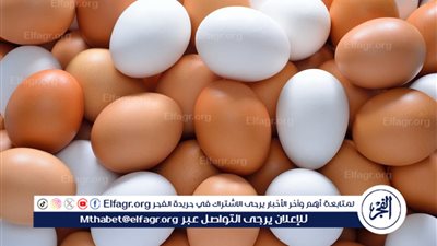 استقرار أسعار البيض في الأسواق المصرية اليوم: 15 نوفمبر 2024
