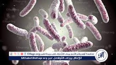 ظهور بكتيريا جديدة في بريطانيا.. أستاذ أحياء دقيقة يكشف التفاصيل