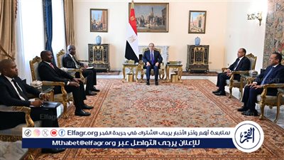 عاجل| السيسي يستقبل وزير العلاقات الدولية والتعاون الدولي بجنوب إفريقيا 