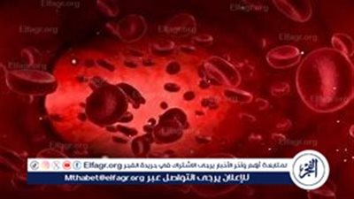 الفول وأثره على خلايا الدم الحمراء.. تحذير طبي من الدكتور حسام موافي