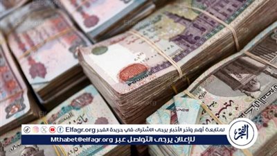 صفقة العيد.. القبض على المتهم بغسل 75 مليون جنيه في تجارة العملة بالقاهرة