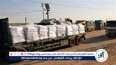 منظمات حقوقية تتهم الجيش الإسرائيلي بتشجيع نهب المساعدات الإنسانية في غزة