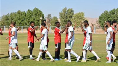 فوز المقاولون العرب وبروكسى والاتصالات وتعادل طنطا بدوري المحترفين 