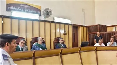 السجن لـ سائق وتاجر قطع غيار سيارات للاتجار في الهيروين والميثافيتامين ببورسعيد