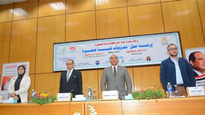 جامعة أسيوط تنظم ورشة عمل تحت عنوان مشروعات فنية صغيرة