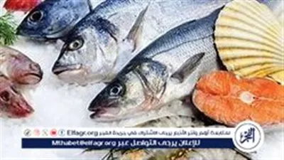 أسعار السمك اليوم الثلاثاء 19 نوفمبر 2024: آخر تحديث لأسعار المأكولات البحرية في الأسواق المصرية