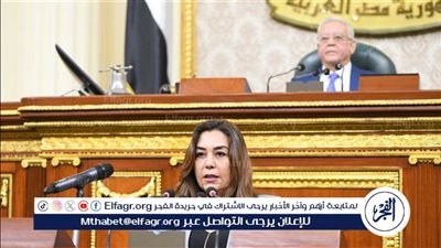 التنمية المحلية: خطوات شاملة لتعزيز التنمية المستدامة وتحقيق اللامركزية في القرى والمحافظات