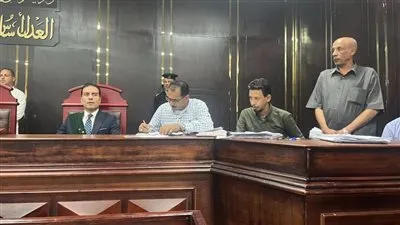 هتكوا عرض طفل وصوروه بالأقصر.. جنايات الأقصر تحيل أوراق 3 متهمين للمفتي