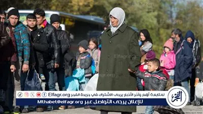 بعد موافقة النواب نهائيًا.. ضوابط منح اللاجئ الجنسية المصرية ومباشرة الحقوق السياسية