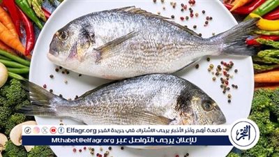 استقرار أسعار السمك والجمبري في سوق العبور اليوم 21 نوفمبر 2024