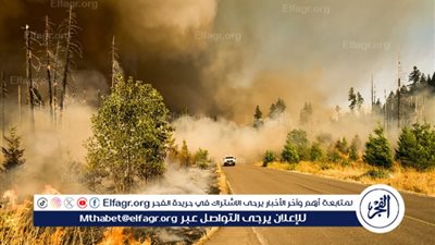 علي قطب: وقف الحروب وخفض الانبعاثات أولويات عاجلة لحماية المناخ (فيديو)