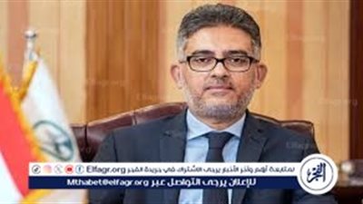 مصر لتأمينات الحياة: نعتز بشراكتنا مع البنك الأهلي.. وملتزمون بتقديم خدمات متميزة لعملائنا