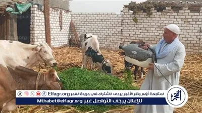 بيطرى المنيا: تقديم 2734 خدمة خلال 5 قوافل مجانية وقائية إرشادية