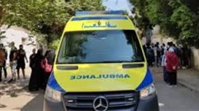 ضبط سائق ميكروباص دهس شخص بالمرج 