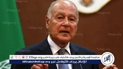 أحمد أبو الغيط: العالم العربي منقسم.. ومصر تواجه تحديات كبرى بعد 2011