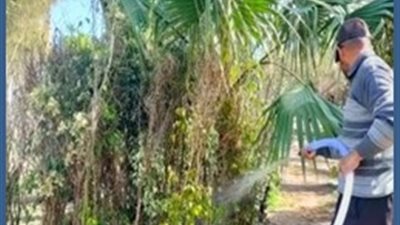 محافظة الإسكندرية تحقق 99.2% من مستهدف مبادرة 