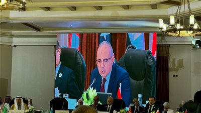 وزير الري: وجود تعاون مائي فعَّال على أحواض الأنهار الدولية بالنسبة لمصر أمرًا وجوديا لا غنى عنه