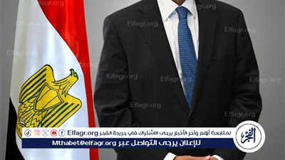 وزير الخارجية والهجرة يشارك في الاجتماع الوزاري لمجلس السلم والأمن الإفريقي