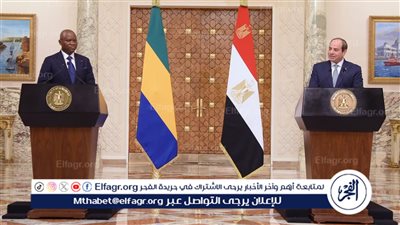 السيسي: الجابون تخوض عملية انتقالية ناجحة تحقيقا لتطلعات شعبها فى الديمقراطية (فيديو)