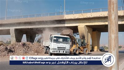 محافظ أسيوط: تواصل حملات النظافة ورفع تراكمات القمامة ومخلفات هدم المباني من مدخل قرية موشا 