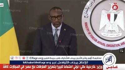 وزير خارجية مالي يشيد بدور مصر في دعم استقرار بلاده (فيديو)