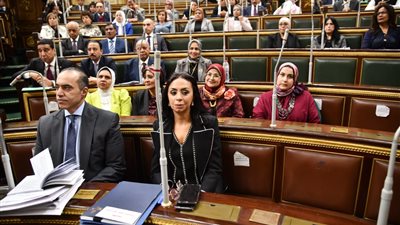 وزيرة التضامن: قانون 