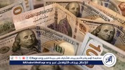 سعر الدولار اليوم مقابل الجنيه المصري الاثنين 2 ديسمبر 2024: استقرار مع انخفاض طفيف