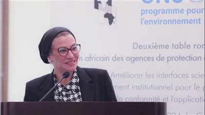 وزيرة البيئة تفتتح المائدة المستديرة الثانية للمنتدى الأفريقي لوكالات حماية البيئة 