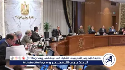 عاجل:- الحكومة توافق على مشروعات استراتيجية للطاقة المتجددة والأمونيا الخضراء