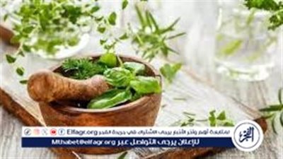 مشروبات طبيعية لتهدئة المعدة والجهاز الهضمي