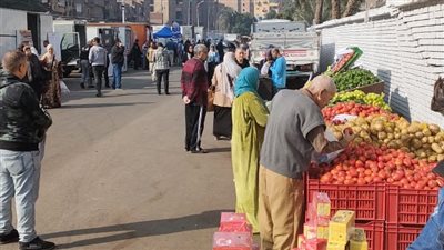 كيلو اللحوم بـ 300 جنيه.. أسعار أسواق اليوم الواحد بالقاهرة