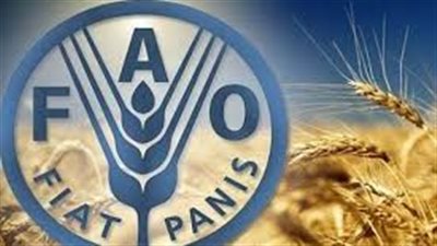 أسعار الغذاء بلغت أعلى مستوى في 19 شهرًا.. الفاو تكشف مؤشرات الأسعار الجديدة