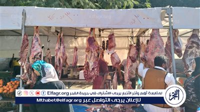 افتتاح سوق اليوم الواحد بمنطقة العجمي لتوفير السلع بأسعار مخفضة في الإسكندرية