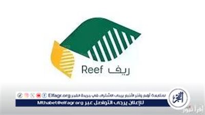 كيفية الاستعلام عن قبولك في دعم ريف عبر reef.gov.sa