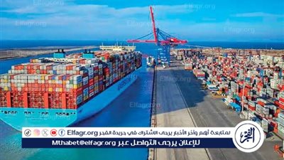 الهيئة العامة لميناء الإسكندرية تشهد نشاطا ملحوظا في حركة تداول الحاويات خلال 24 ساعة 