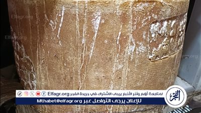 صحة الدقهلية: مراقبة الأغذية تكثف حملاتها بالمرور على 271 منشأة وتحرر 176 محضرًا 