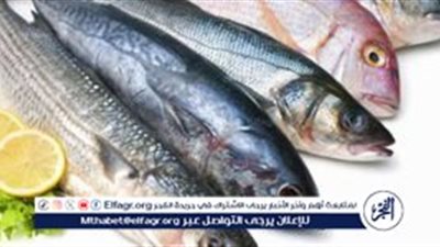 استقرار أسعار السمك والمأكولات البحرية اليوم في الأسواق