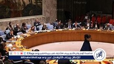 الأمم المتحدة تدعو إلى وقف فوري لإطلاق النار في غزة وتطالب بالإفراج عن الرهائن